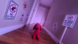 No Dogs Allowed Nightmare Hallway copy No Dogs Allowed Nightmare Hallway copy